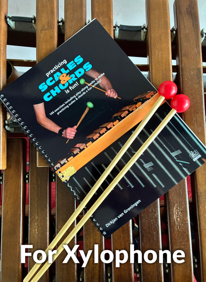 Practicing Scales & Chords Is Fun | Xykophone | Dirkjan van Groningen